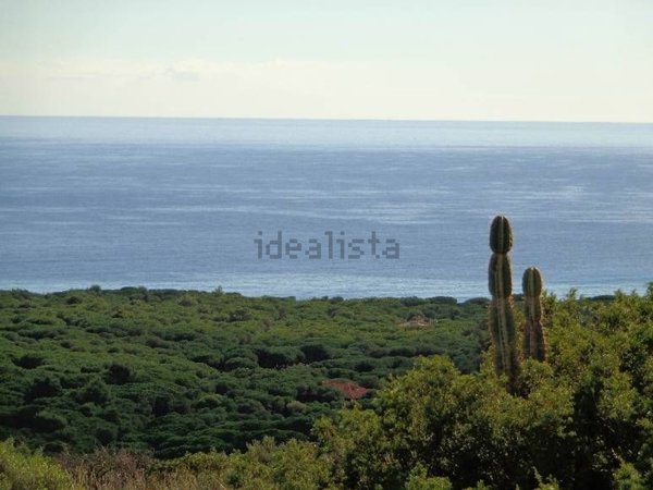 terreno agricolo in vendita a Pula