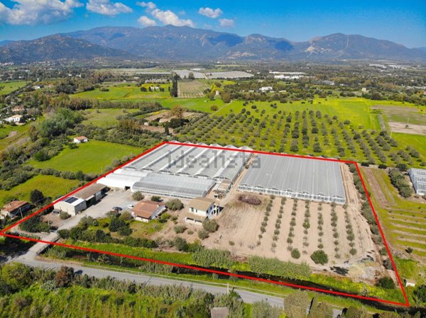 azienda agricola in vendita a Pula