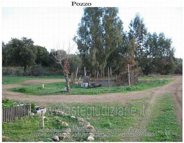 azienda agricola in vendita a Pula