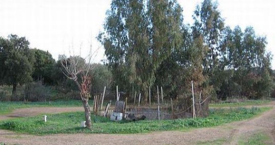 azienda agricola in vendita a Pula
