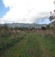 azienda agricola in vendita a Pula