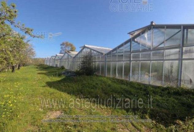 terreno agricolo in vendita a Pula