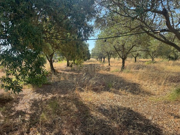 terreno agricolo in vendita a Pula
