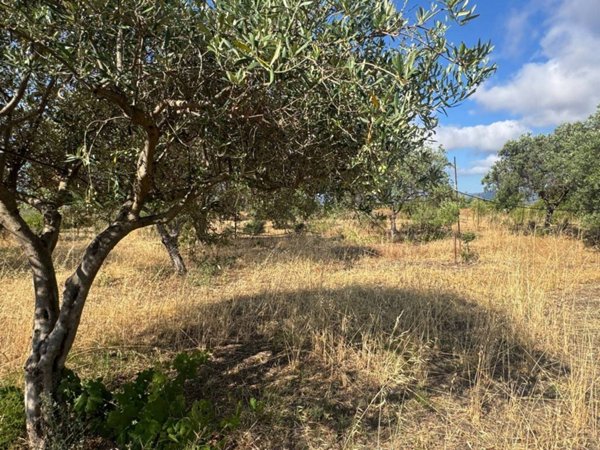 terreno in vendita a Pula