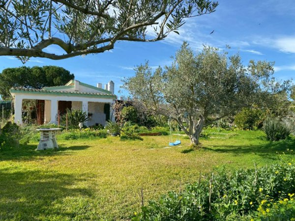 casa indipendente in vendita a Quartu Sant'Elena