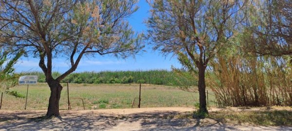 terreno agricolo in vendita a Quartu Sant'Elena in zona Musicisti
