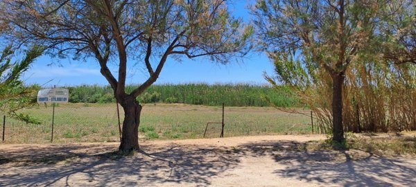 terreno agricolo in vendita a Quartu Sant'Elena