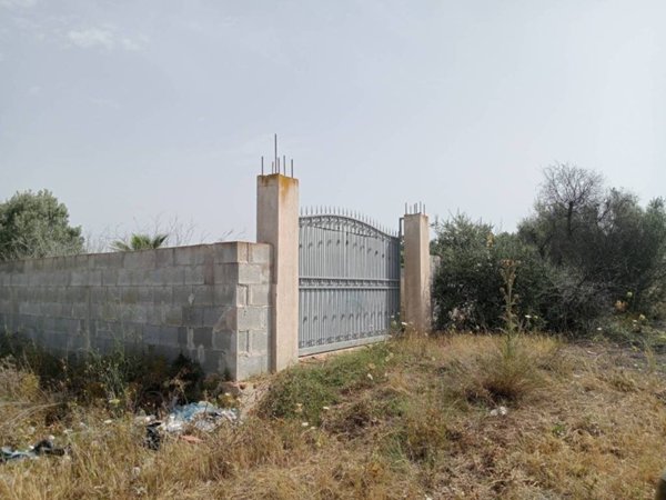 terreno agricolo in vendita a Quartu Sant'Elena in zona Capitana