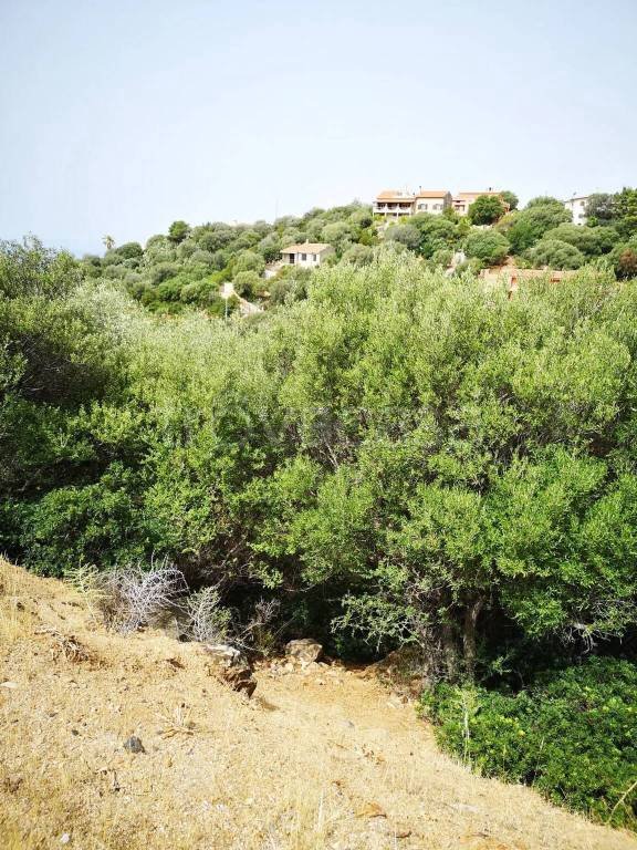 terreno agricolo in vendita a Quartu Sant'Elena