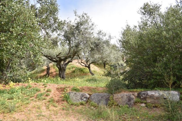 casa indipendente in vendita a Quartu Sant'Elena in zona Niu Crobu