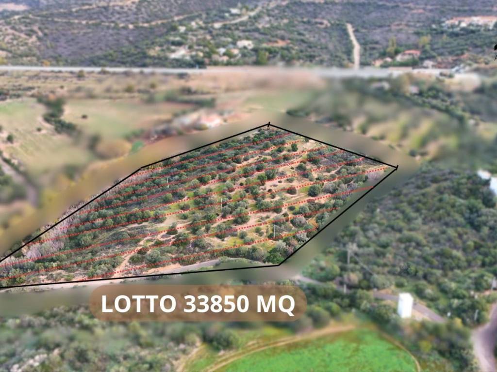 terreno agricolo in vendita a Quartu Sant'Elena in zona Capitana