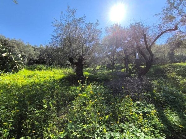 terreno edificabile in vendita a Quartu Sant'Elena in zona Niu Crobu