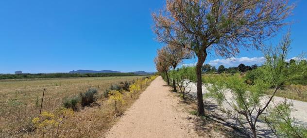 terreno agricolo in vendita a Quartu Sant'Elena
