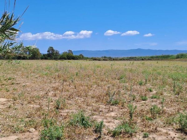 terreno agricolo in vendita a Quartu Sant'Elena in zona Musicisti
