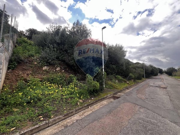 terreno agricolo in vendita a Quartu Sant'Elena in zona Capitana