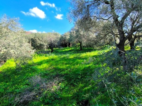terreno edificabile in vendita a Quartu Sant'Elena in zona Niu Crobu