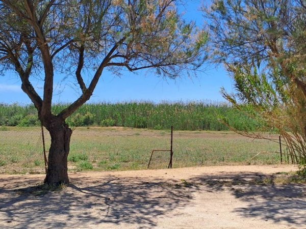 terreno agricolo in vendita a Quartu Sant'Elena in zona Musicisti