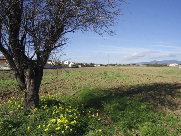 terreno agricolo in vendita a Quartu Sant'Elena in zona Foxi