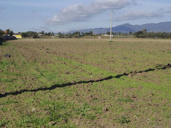 terreno agricolo in vendita a Quartu Sant'Elena in zona Foxi