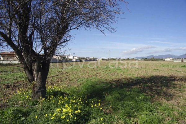 appartamento in vendita a Quartu Sant'Elena