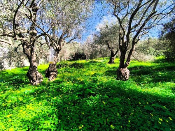 terreno agricolo in vendita a Quartu Sant'Elena in zona Niu Crobu