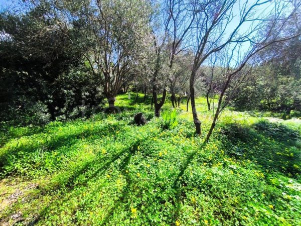 terreno agricolo in vendita a Quartu Sant'Elena in zona Niu Crobu
