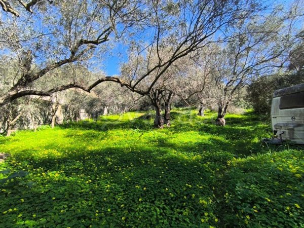 terreno agricolo in vendita a Quartu Sant'Elena in zona Niu Crobu