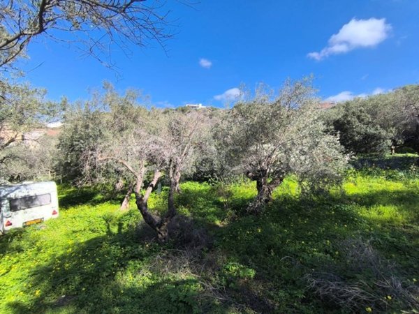 terreno agricolo in vendita a Quartu Sant'Elena in zona Niu Crobu