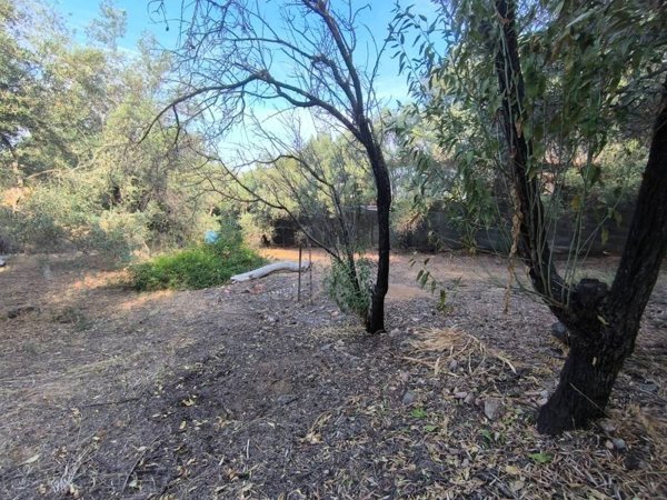 casa indipendente in vendita a Quartu Sant'Elena in zona Niu Crobu