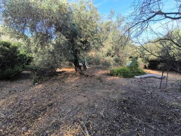 casa indipendente in vendita a Quartu Sant'Elena in zona Niu Crobu
