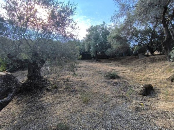 terreno agricolo in vendita a Quartu Sant'Elena in zona Capitana