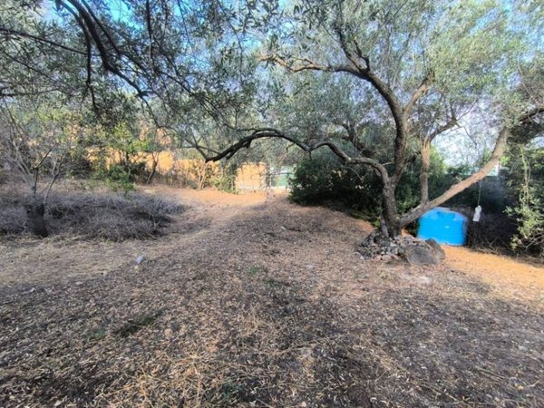 terreno agricolo in vendita a Quartu Sant'Elena in zona Capitana
