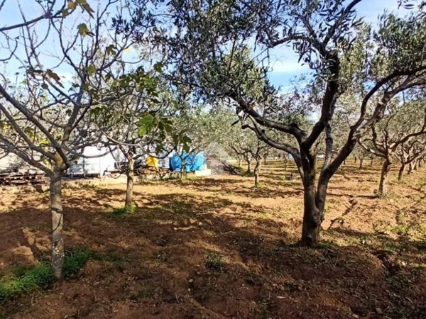 terreno agricolo in vendita a Quartu Sant'Elena in zona Foxi
