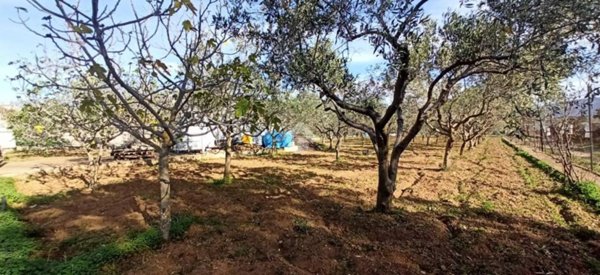 terreno agricolo in vendita a Quartu Sant'Elena