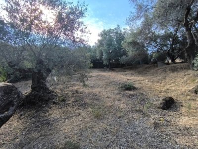 casa indipendente in vendita a Quartu Sant'Elena in zona Niu Crobu