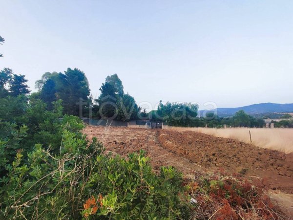 terreno agricolo in vendita a Quartu Sant'Elena