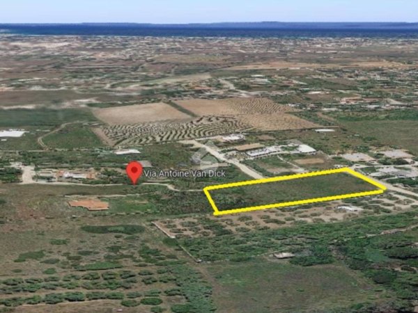 terreno agricolo in vendita a Quartu Sant'Elena in zona Sant'Andrea