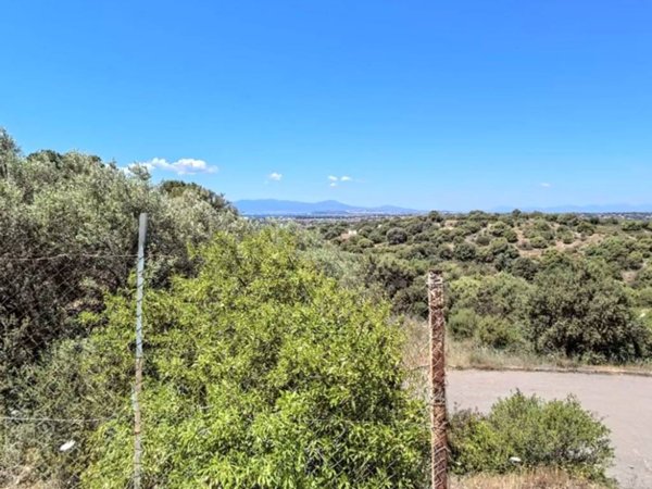 terreno agricolo in vendita a Quartu Sant'Elena in zona Niu Crobu