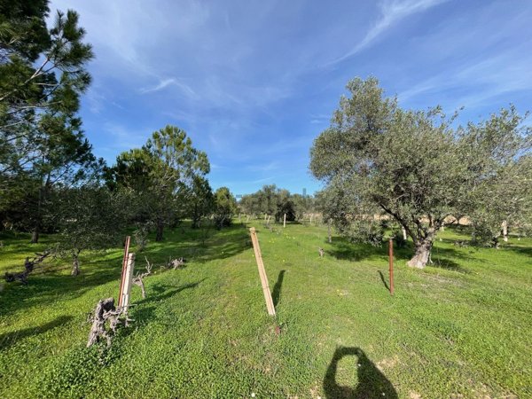 appartamento in vendita a Quartu Sant'Elena in zona Flumini di Quartu