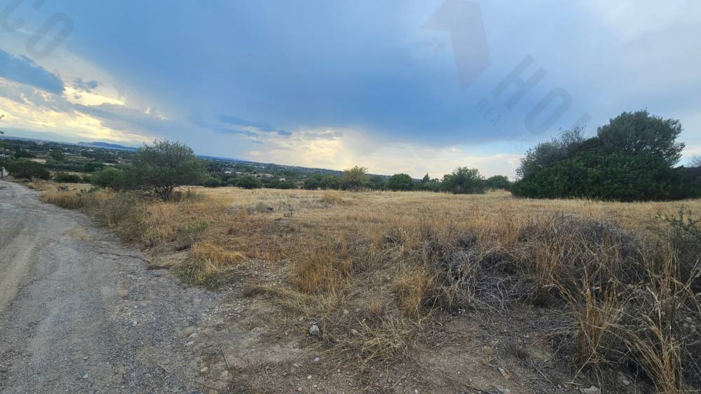 terreno agricolo in vendita a Quartu Sant'Elena in zona Niu Crobu