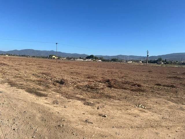 terreno agricolo in vendita a Quartu Sant'Elena in zona Sant'Andrea