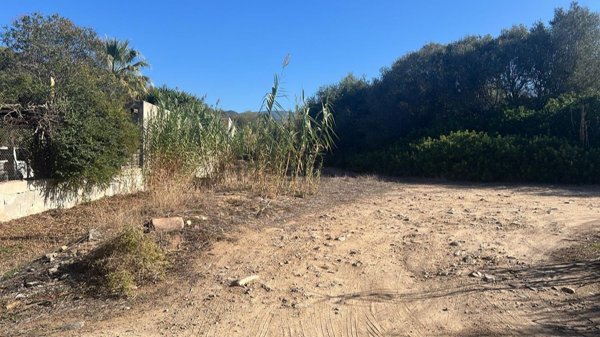terreno agricolo in vendita a Quartu Sant'Elena