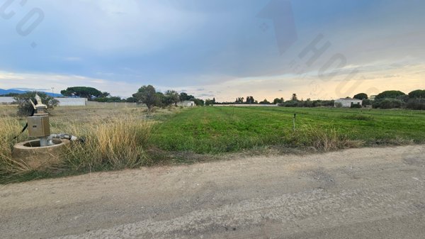 terreno agricolo in vendita a Quartu Sant'Elena in zona Pitz'e Serra