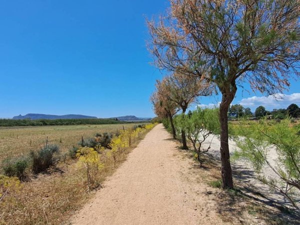 terreno agricolo in vendita a Quartu Sant'Elena in zona Musicisti