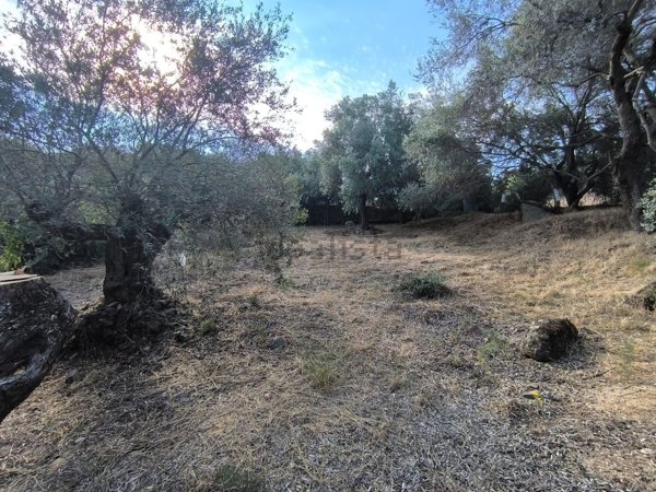 casa indipendente in vendita a Quartu Sant'Elena in zona Capitana
