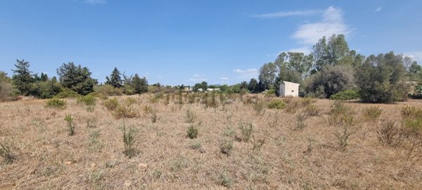 terreno agricolo in vendita a Quartu Sant'Elena