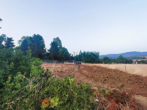 casa indipendente in vendita a Quartu Sant'Elena in zona Flumini di Quartu
