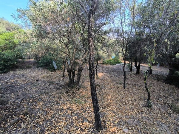 casa indipendente in vendita a Quartu Sant'Elena in zona Niu Crobu