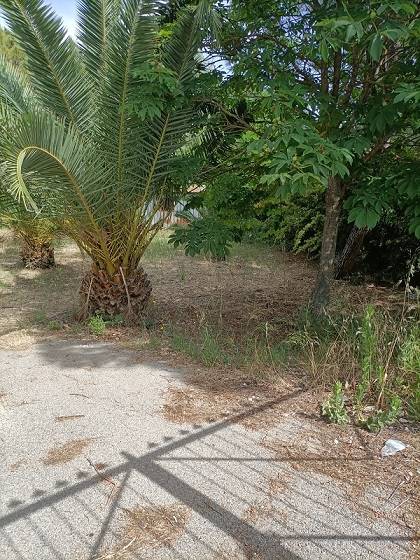 terreno agricolo in vendita a Quartu Sant'Elena in zona Margine Rosso