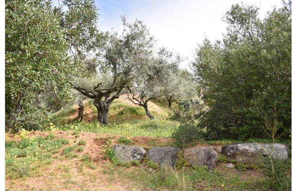casa indipendente in vendita a Quartu Sant'Elena in zona Capitana